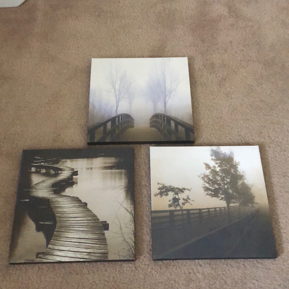 Canvas wall art- 3 photos